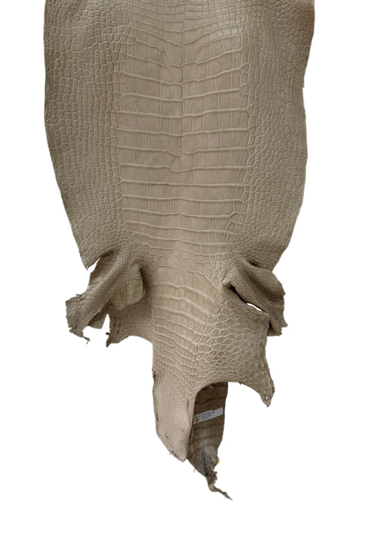 44 cm Grade 2/3 Oatmeal Matte Wild American Alligator Leather - Tag: LA25-0004441