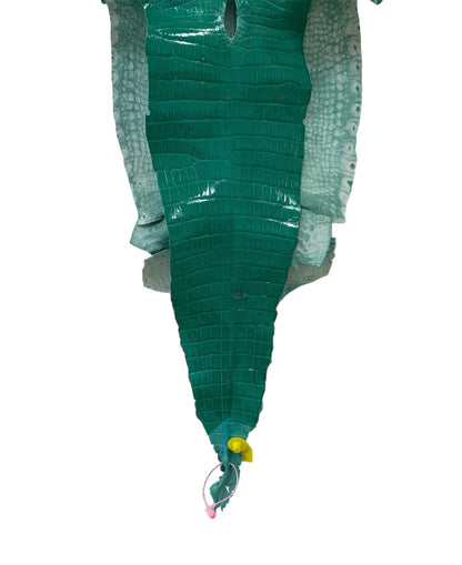 32 cm Grade 4/5 Tiffany Blue Glazed Farm Raised American Alligator Leather - Tag: FL14-0004058
