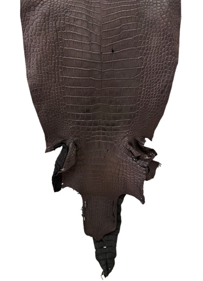 46 cm Grade 3/4 Black Matte Wild American Alligator Leather - Tag: LA23-0003472