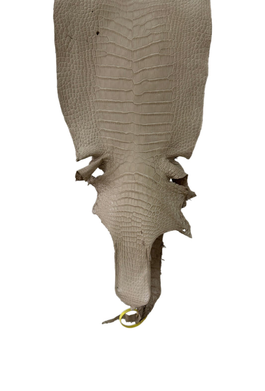31 cm Grade 2/3 Oatmeal Matte Wild American Alligator Leather - Tag: LA25-0004549