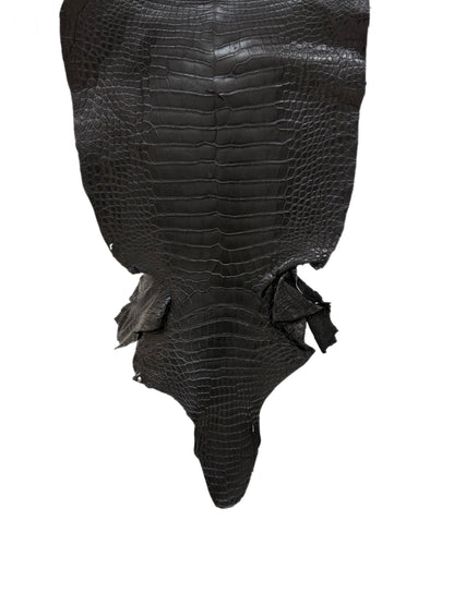 38 cm Grade 3/4 Black Matte Wild American Alligator Leather - Tag: LA23-0014579