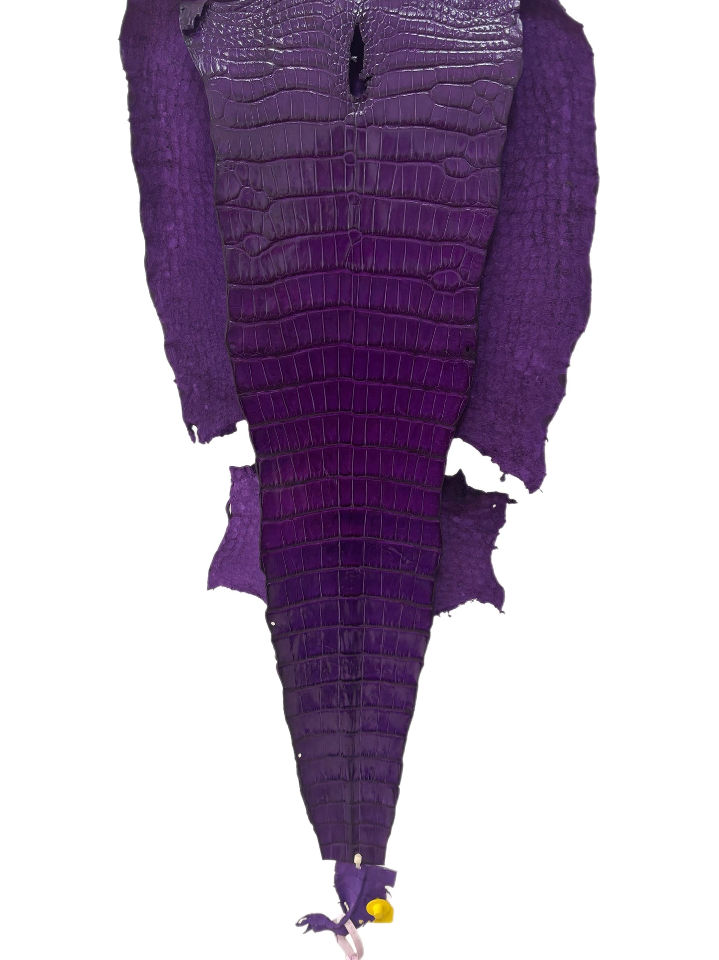 43 cm Grade 2/3 Violet Millennium Wild American Alligator Leather - Tag: LA17-0051136