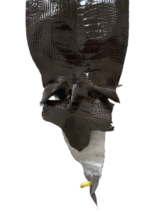 32 cm Grade 1/2 Cocoa Glazed Farm-Raised American Alligator Leather - Tag: LA25-0316475