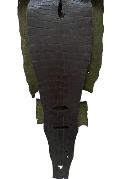 36 cm Grade 2/3 Olive Antique Wild American Alligator Leather - Tag: LA23-0002090