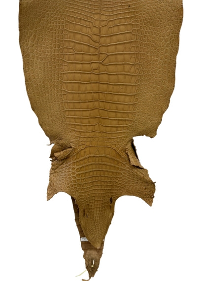 50 cm Grade 2/3 Antique Saddle Matte Wild American Alligator Leather - Tag: LA17-0036881