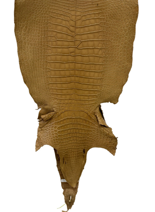 50 cm Grade 2/3 Antique Saddle Matte Wild American Alligator Leather - Tag: LA17-0036881