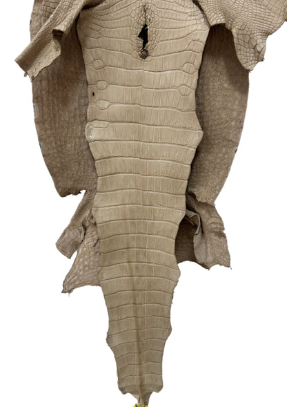 45 cm Grade 2/3 Oatmeal Matte Wild American Alligator Leather - Tag: LA25-0012102