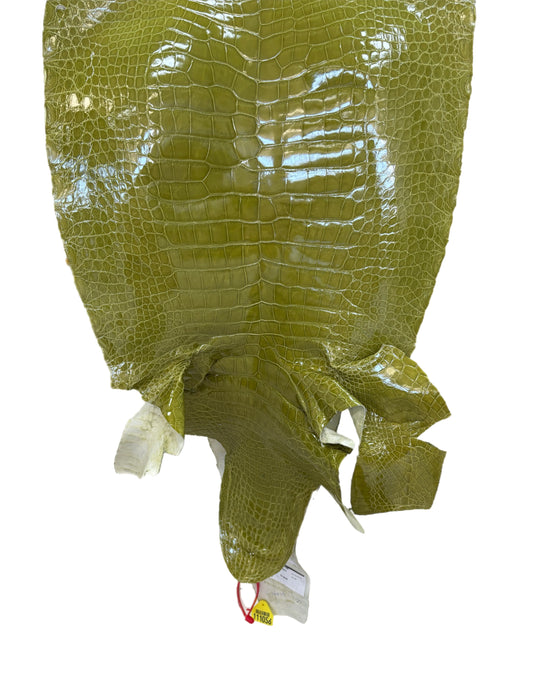 CLOSEOUT | 45 cm Grade 3/4 Muguet Glazed Wild American Alligator Leather - Tag: CCIT-0539939