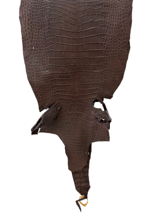 39 cm Grade 3/4 Chocolate Matte Wild American Alligator Leather - Tag: LA23-0024507