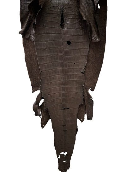 49 cm Grade 3/4 Dark Chocolate Matte Wild American Alligator Leather - Tag: LA23-0024676