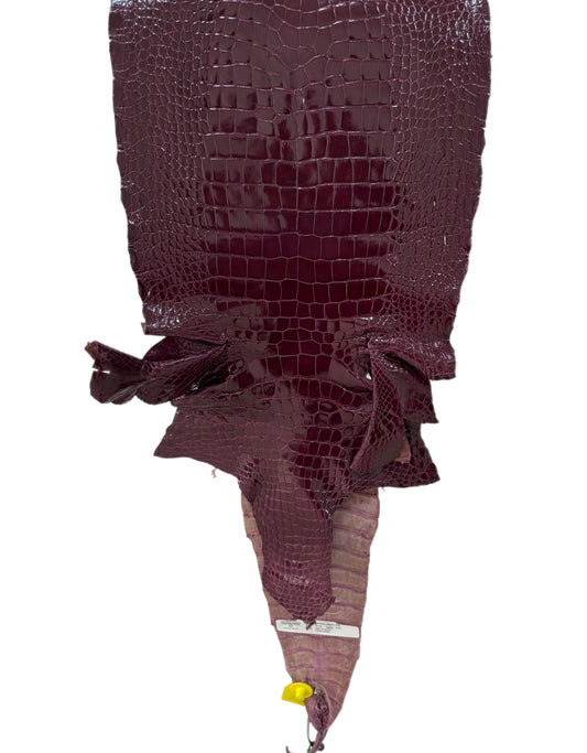33 cm Grade 2/3 Regal Glazed Wild American Alligator Leather - Tag: LA96-0019774