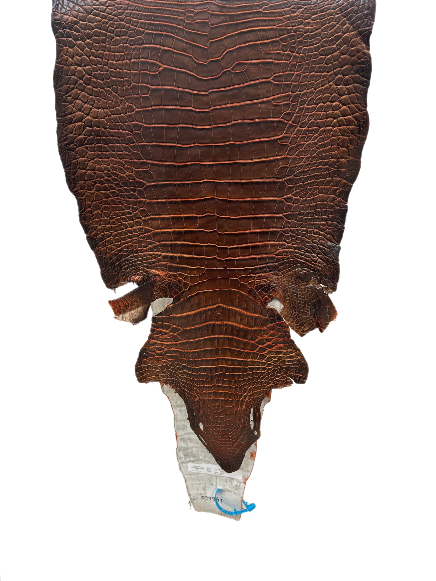 40 cm Grade 1/2 Sienna Matte Wild American Alligator Leather - Tag: ESRE-0050842
