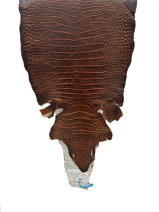 40 cm Grade 1/2 Sienna Matte Wild American Alligator Leather - Tag: ESRE-0050842