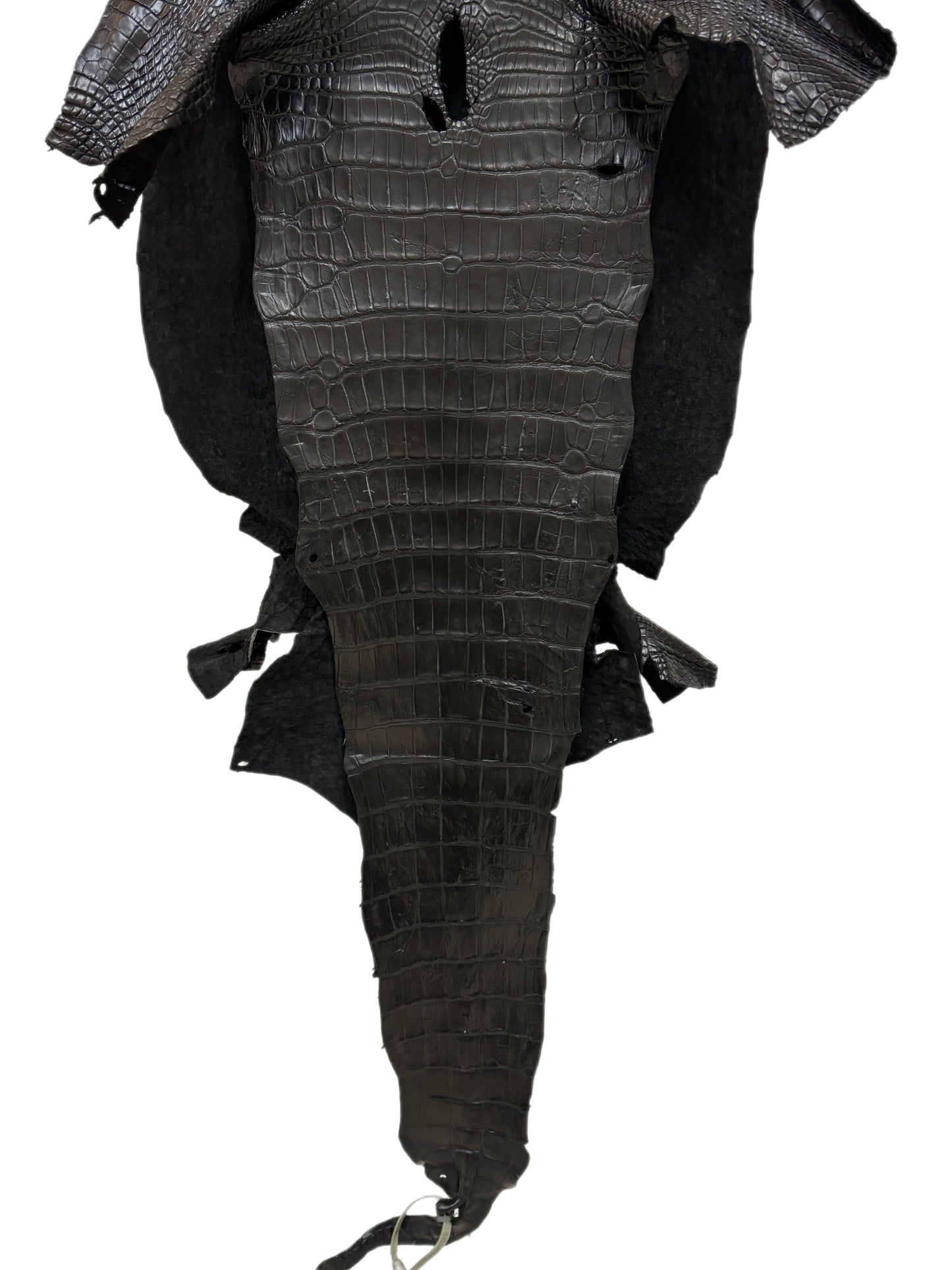 43 cm Grade 2/3 Black Matte Wild American Alligator Leather - Tag: LA23-0003636