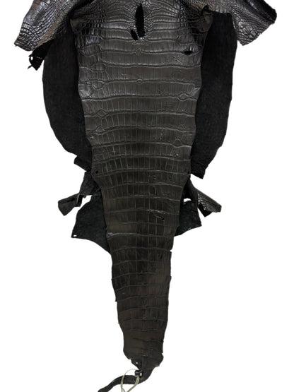 43 cm Grade 2/3 Black Matte Wild American Alligator Leather - Tag: LA23-0003636