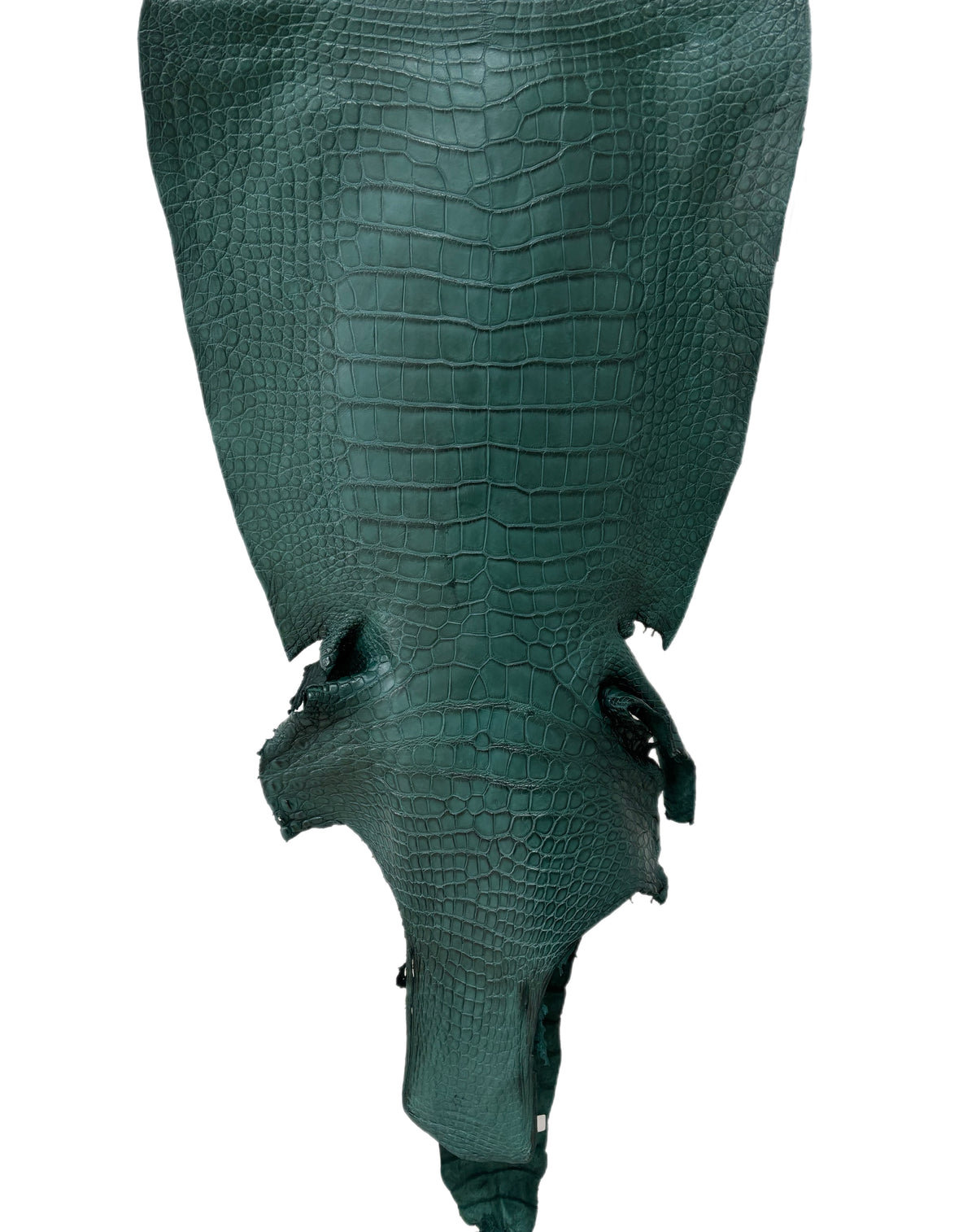 49 cm Grade 3/4 Filigrana Matte Wild American Alligator Leather - Tag: LA25-0018657