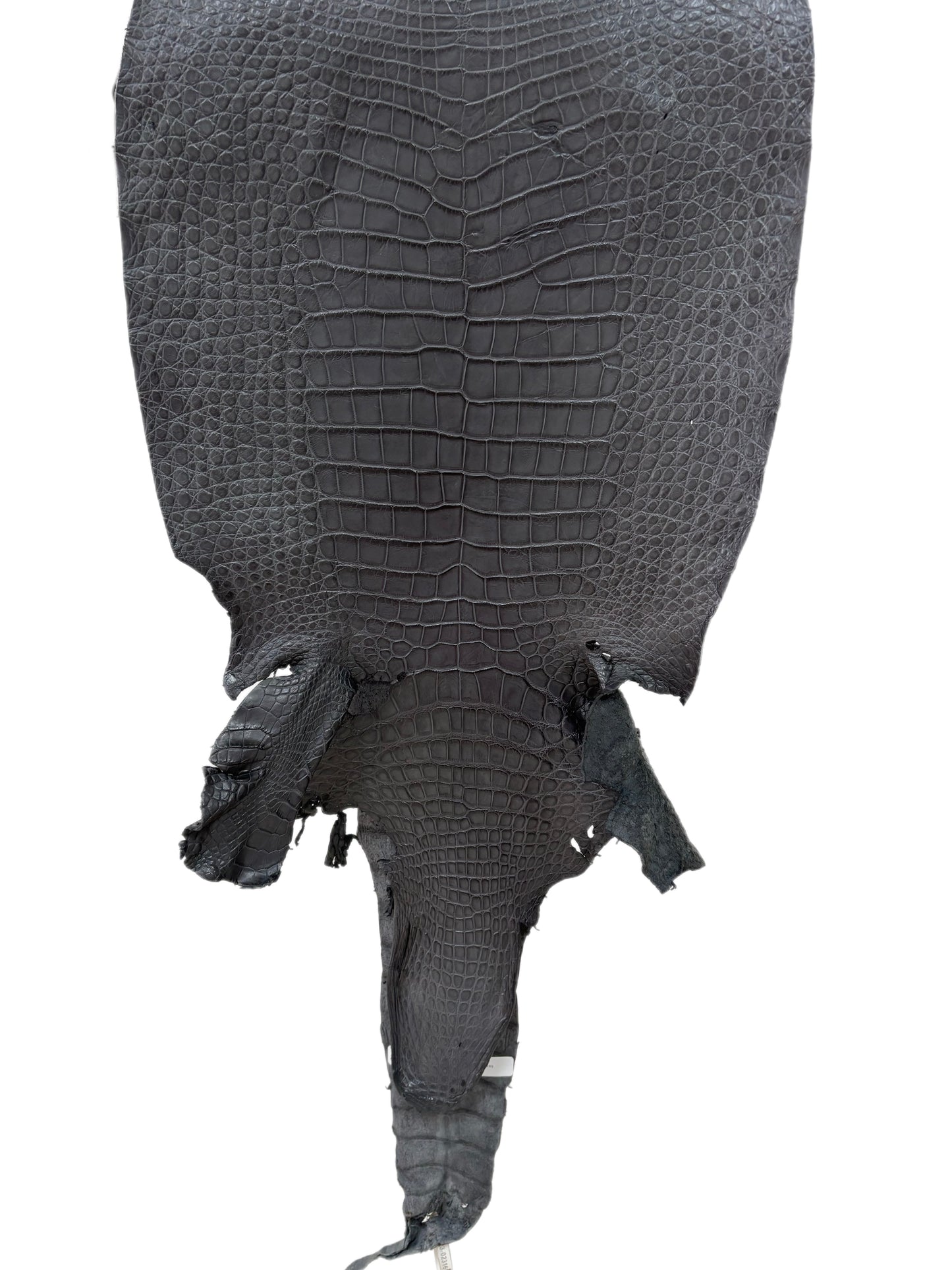 40 cm Grade 3/4 Serpentine Grey Matte Wild American Alligator Leather - Tag: LA23-0023169