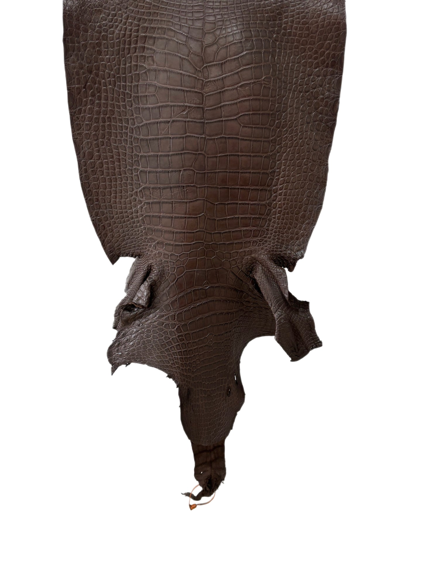 45 cm Grade 3/4 Dark Chocolate Matte Wild American Alligator Leather - Tag: LA24-0034016
