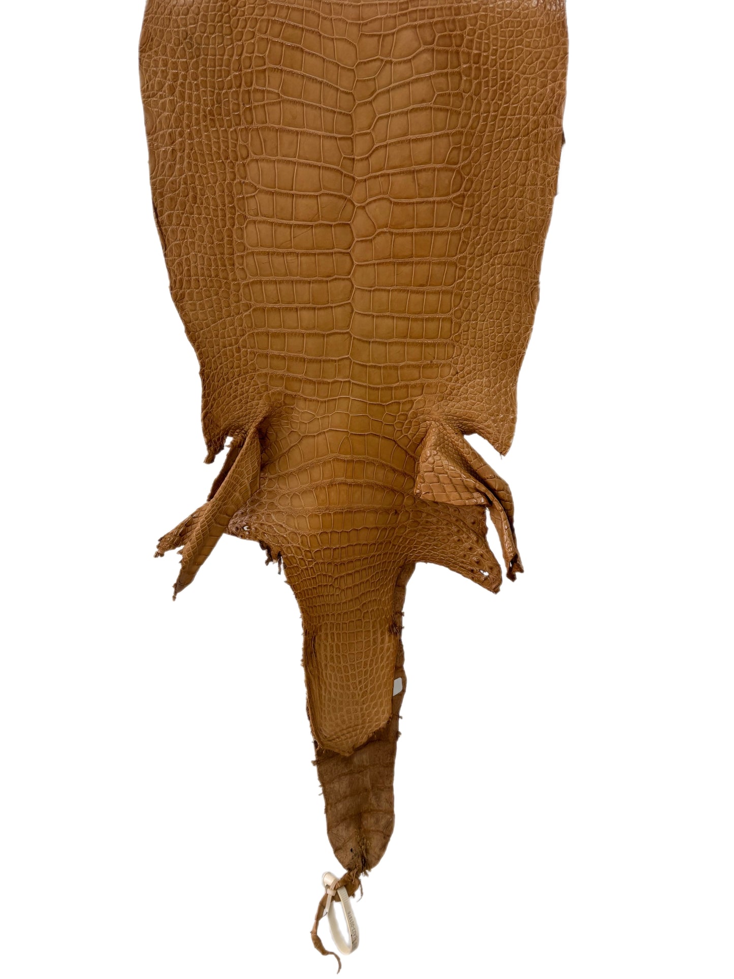 32 cm Grade 3/4 Antique Saddle Matte Wild American Alligator Leather - Tag: LA23-0001976