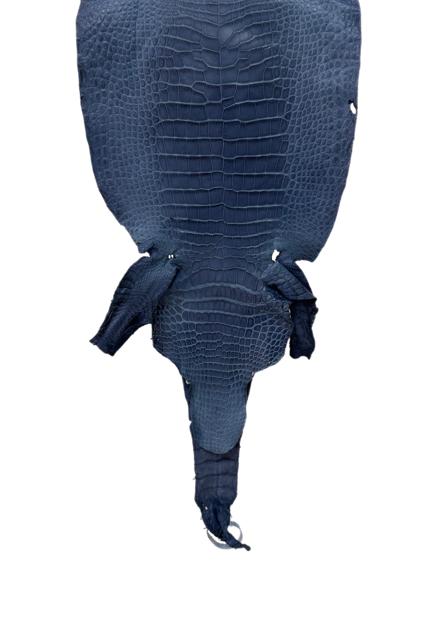 32 cm Grade 3/4 Indigo Matte Wild American Alligator Leather - Tag: LA23-0027037