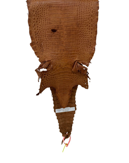 26 cm Grade 4/5 Almond Matte Farm Raised American Alligator Leather - Tag: FL21-0024914