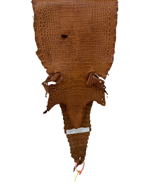 26 cm Grade 4/5 Almond Matte Farm Raised American Alligator Leather - Tag: FL21-0024914