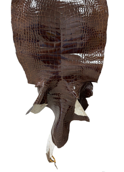 45 cm Grade 3/4 Brown Glazed Wild American Alligator Leather - Tag: LA23-0022227