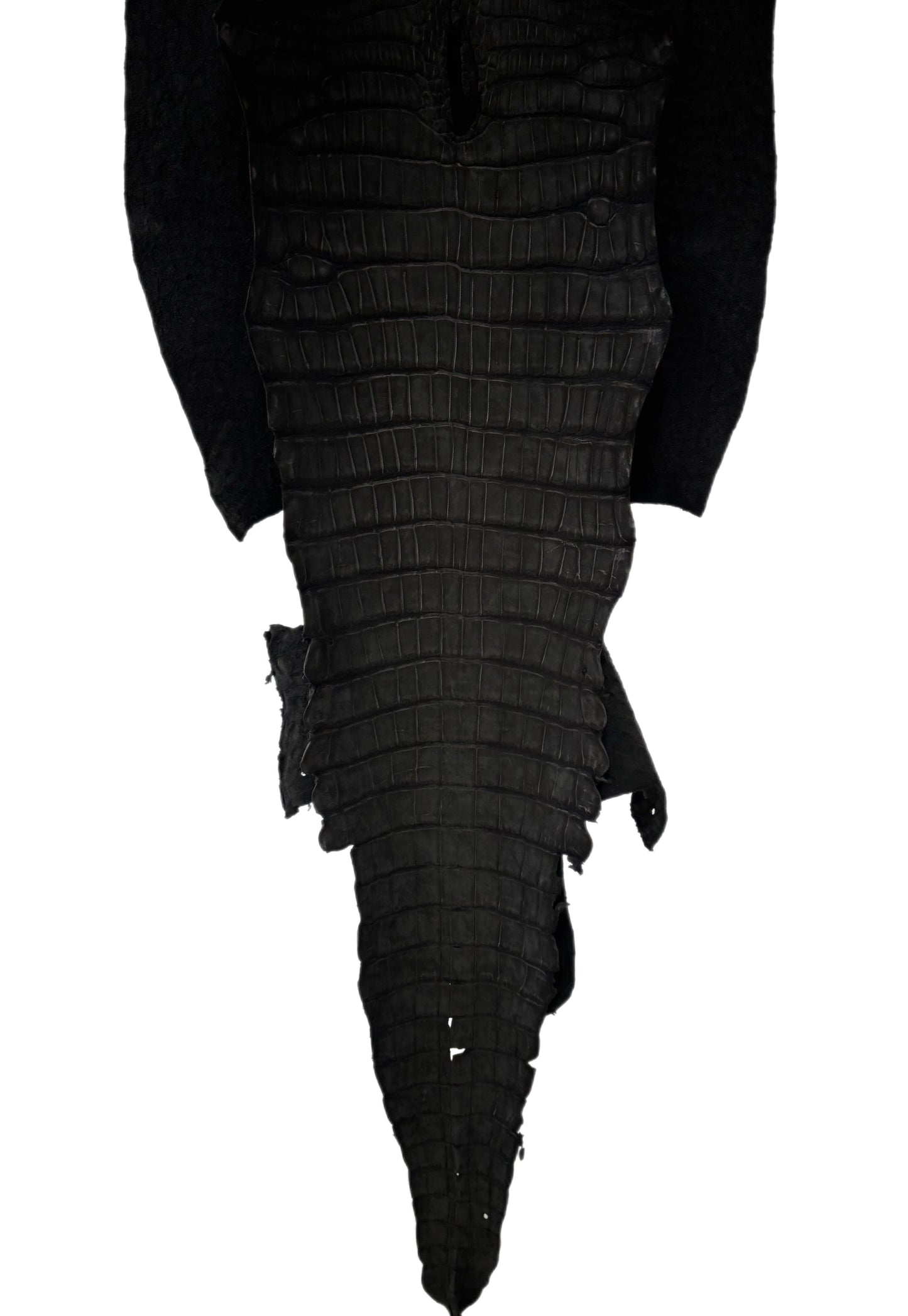 40 cm Grade 3/4 Black Nubuck Wild American Alligator Leather - Tag: LA23-0006277