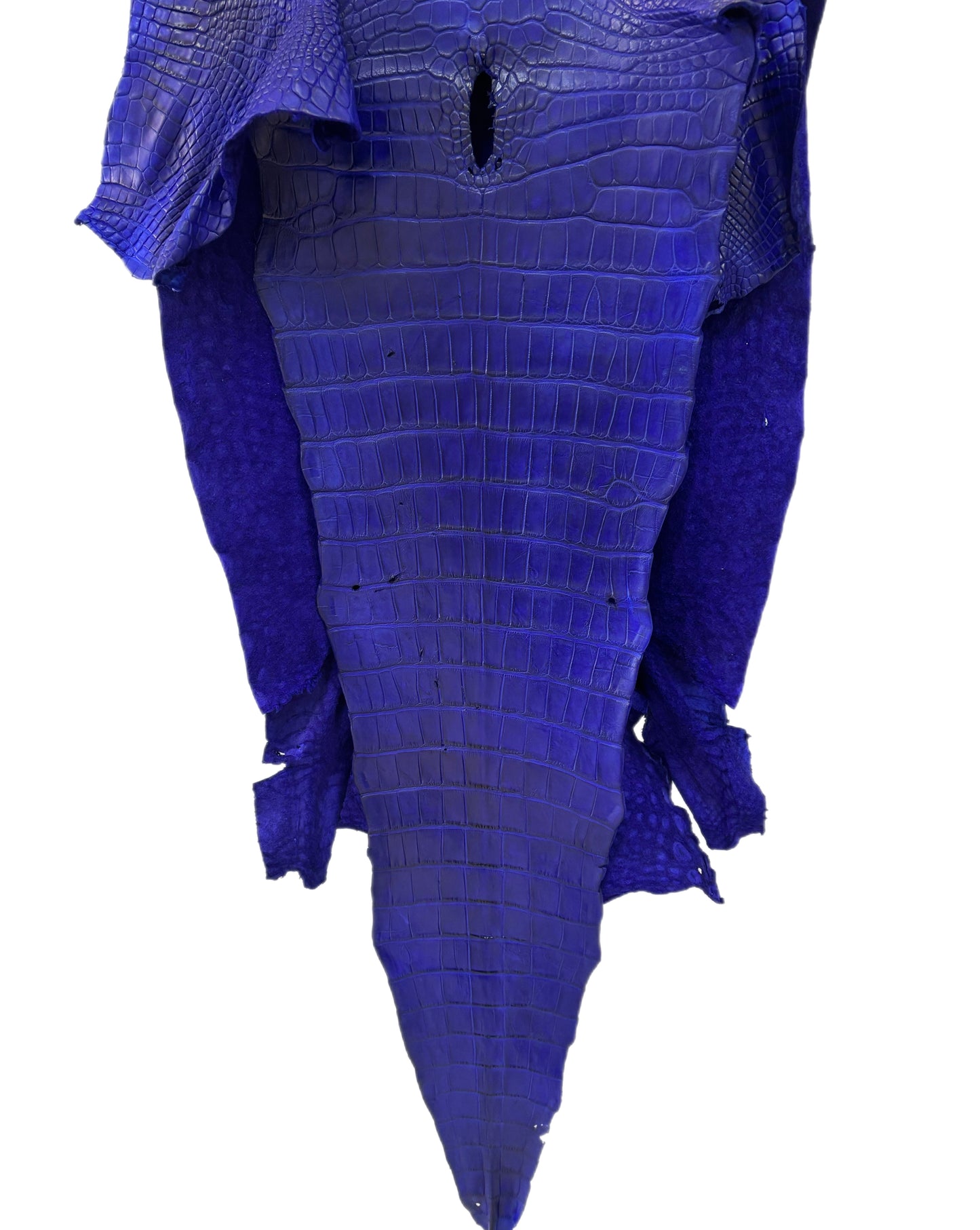 43 cm Grade 3/4 Cobalt Blue Matte Wild American Alligator Leather - Tag: LA23-0030916