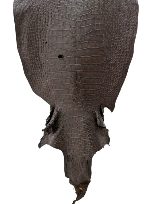 55 cm Grade 4/5 Dark Chocolate Matte Wild American Alligator Leather - Tag: LA23-0021659