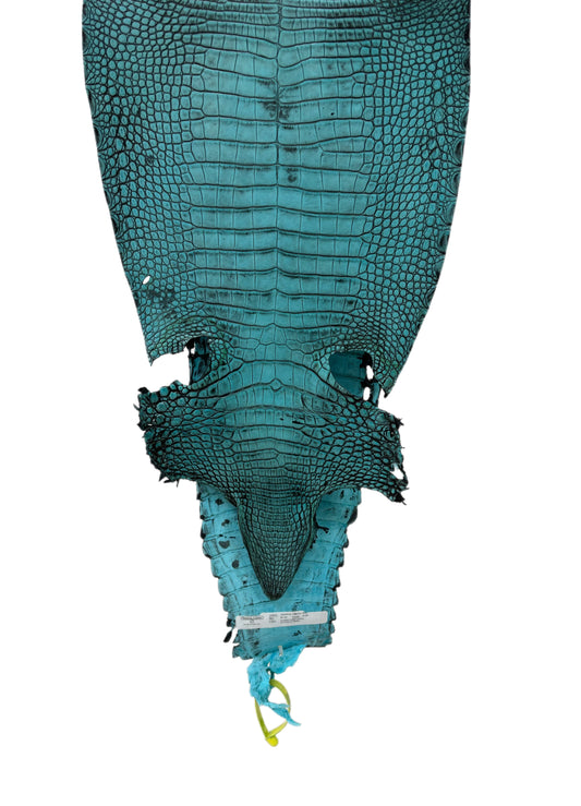 30 cm Grade 2/3 Turquoise Antique Farm-Raised American Alligator Leather - Tag: FL22-0030086