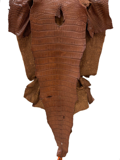 47 cm Grade 2/3  Cigar Matte Wild American Alligator Leather - Tag: LA24-0022426