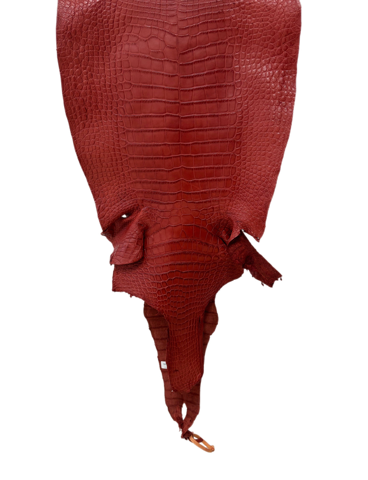 44 cm Grade 2/3 Marziale Matte Wild American Alligator Leather - Tag: LA16-0040146