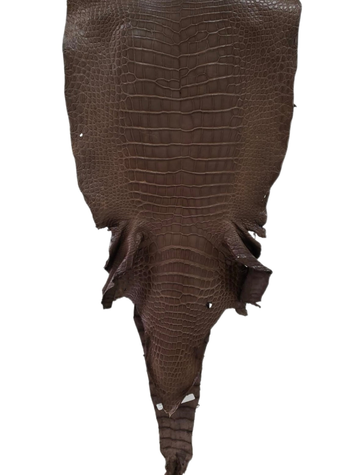 45 cm Grade 3/4 Miller Matte Wild American Alligator Leather - Tag: LA23-0025795