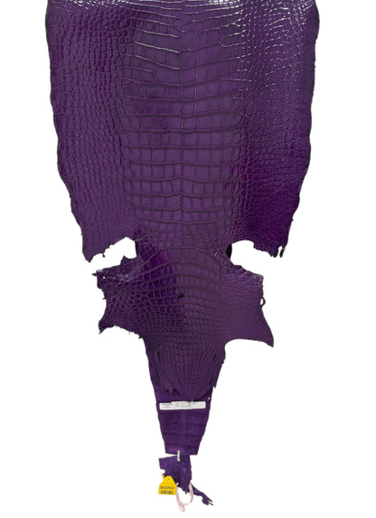 43 cm Grade 2/3 Violet Millennium Wild American Alligator Leather - Tag: LA17-0051136