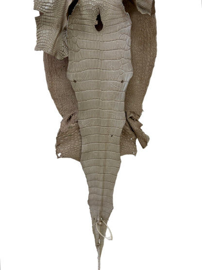 33 cm Grade 3/4 Stormy Matte Wild American Alligator Leather - Tag: LA23-0017686