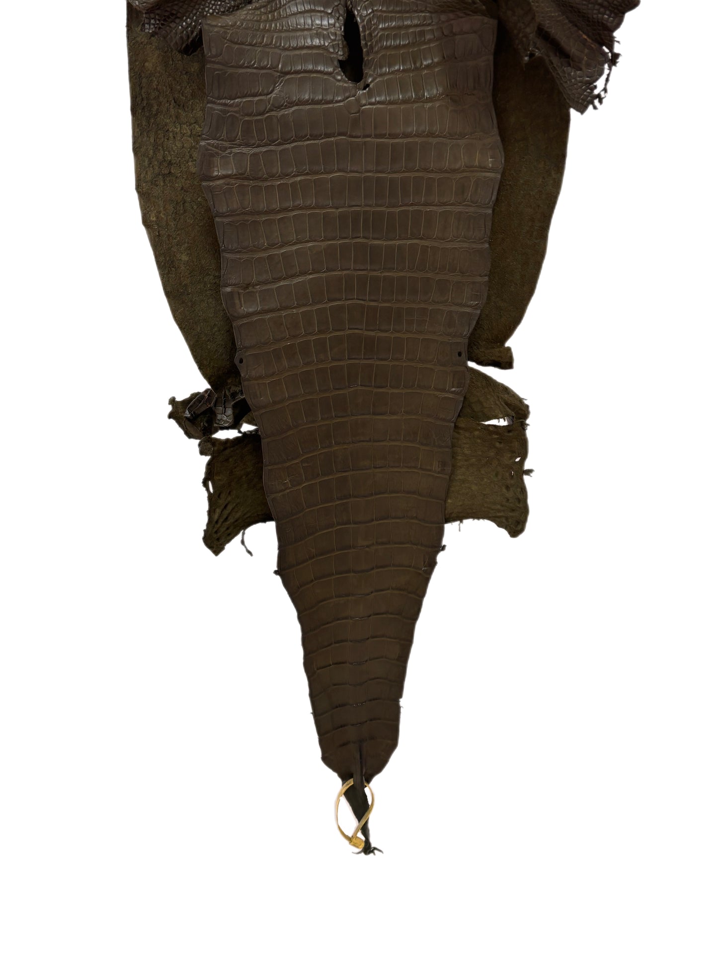 39 cm Grade 2/3 Olive Matte Wild American Alligator Leather - Tag: LA16-0052053
