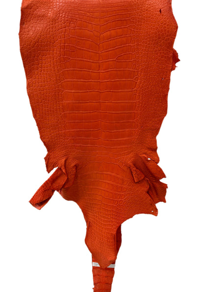 48 cm Grade 4/5 Orange Primavera Matte Wild American Alligator Leather - Tag: LA23-0002838