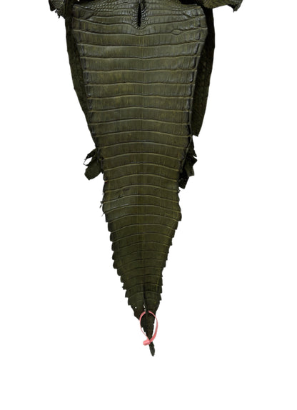 28 cm Grade 2/3 Olive Matte Farm-Raised American Alligator Leather - Tag: FL21-0024130