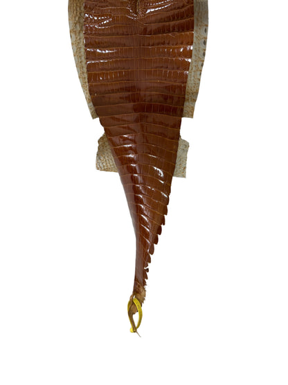25 cm Grade 1/2 Cognac Glazed Farm-Raised American Alligator Leather - Tag: FL22-0030253