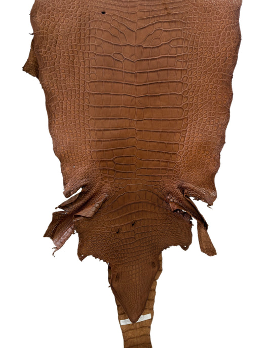 44 cm Grade 4/5 Cigar Matte Wild American Alligator Leather - Tag: LA23-0021360
