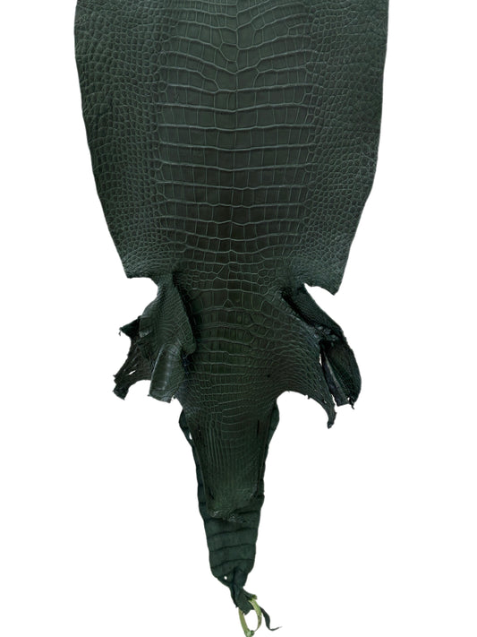 37 cm Grade 3/4 Forest Green Matte Wild American Alligator Leather - Tag: LA23-0002127