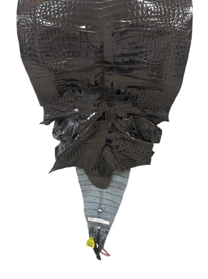 62 cm Grade 3/4 Black Glazed Farm-Raised American Alligator Leather - Tag: FL14-0003434