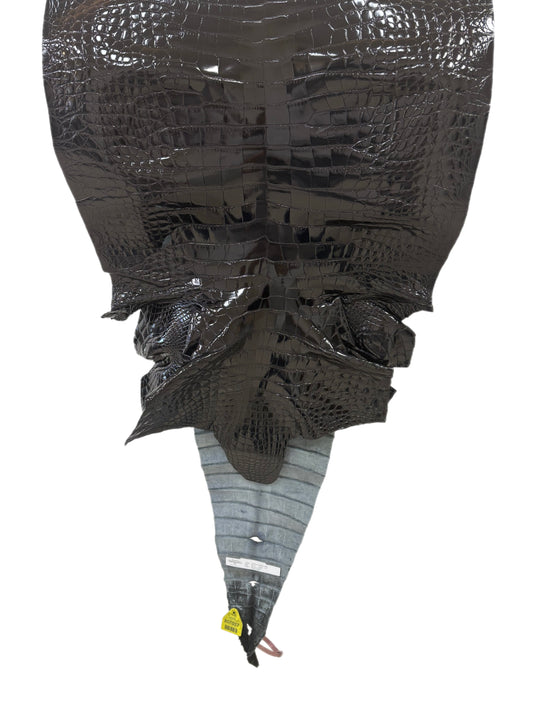 62 cm Grade 3/4 Black Glazed Farm-Raised American Alligator Leather - Tag: FL14-0003434