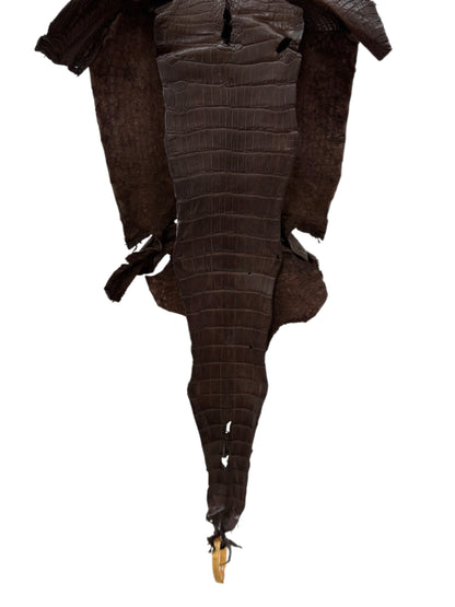 29 cm Grade 1/2 Chocolate Matte Wild American Alligator Leather - Tag: LA23-0030306