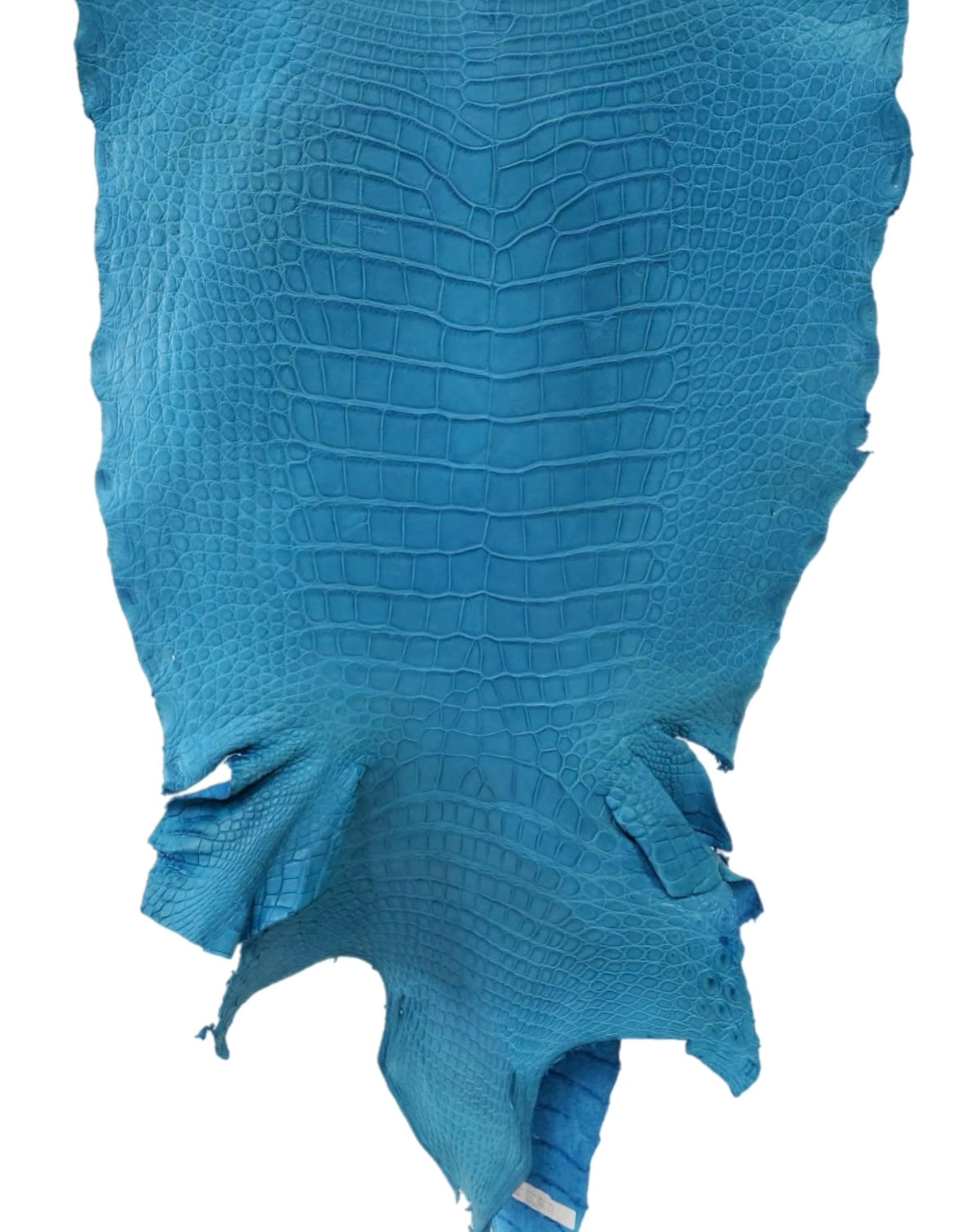 54 cm Grade 2/3 Ultramarine Matte Wild American Alligator Leather - Tag: LA23-0023143