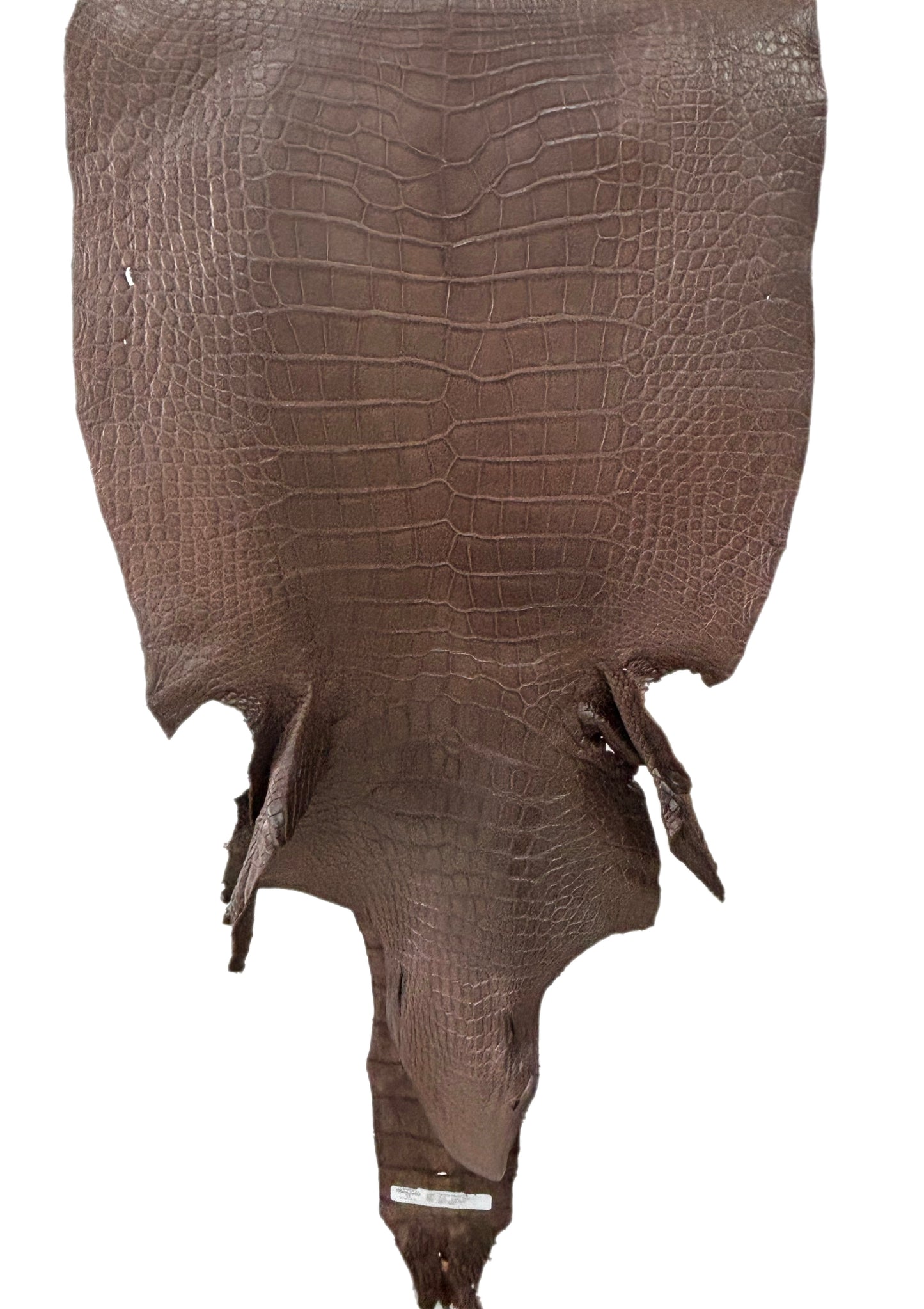 54 cm Grade 3/4 Chocolate Matte Wild American Alligator Leather - Tag: LA23-0022205
