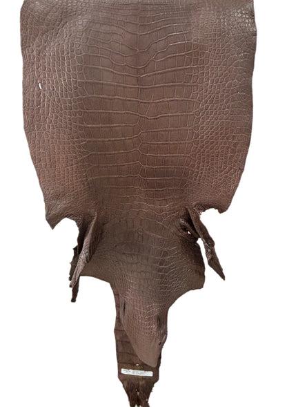 54 cm Grade 3/4 Chocolate Matte Wild American Alligator Leather - Tag: LA23-0022205