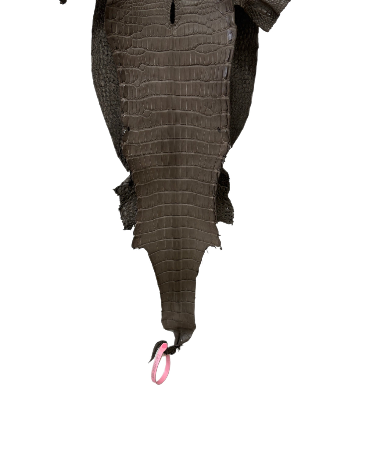 26 cm Grade 2/3 Etain Matte Farm-Raised American Alligator Leather - Tag: LA24-0228847