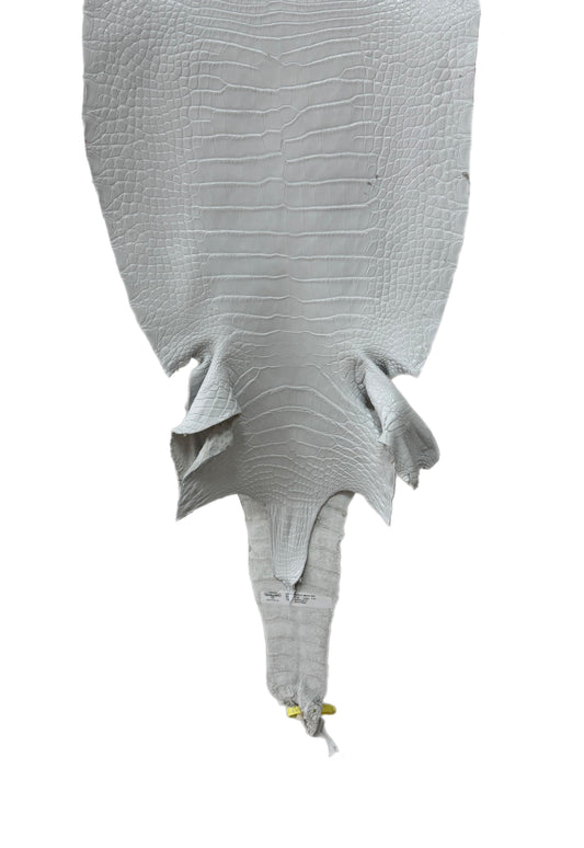 37 cm Grade 2/3 White Matte Farm-Raised American Alligator Leather - Tag: LA25-0316271